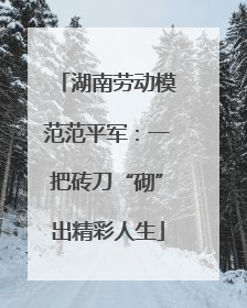 湖南劳动模范范平军：一把砖刀“砌”出精彩人生
