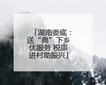 湖南娄底：送“典”下乡优服务 税惠进村助振兴