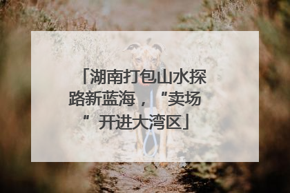 湖南打包山水探路新蓝海，“卖场”开进大湾区