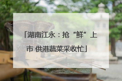 湖南江永：抢“鲜”上市 供港蔬菜采收忙