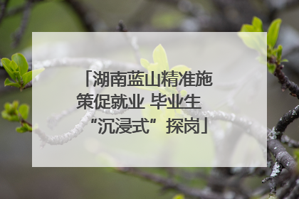 湖南蓝山精准施策促就业 毕业生“沉浸式”探岗