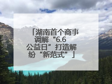 湖南首个商事调解“6.6 公益日”打造解纷“新范式”