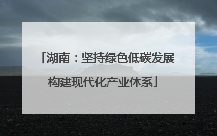 湖南：坚持绿色低碳发展 构建现代化产业体系