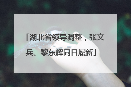 湖北省领导调整，张文兵、黎东辉同日履新