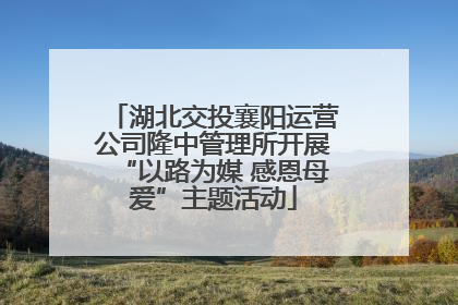 湖北交投襄阳运营公司隆中管理所开展“以路为媒 感恩母爱”主题活动