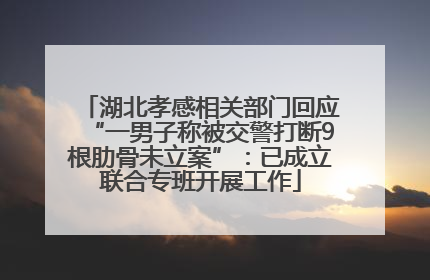 湖北孝感相关部门回应“一男子称被交警打断9根肋骨未立案”：已成立联合专班开展工作