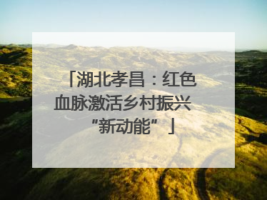 湖北孝昌：红色血脉激活乡村振兴“新动能”