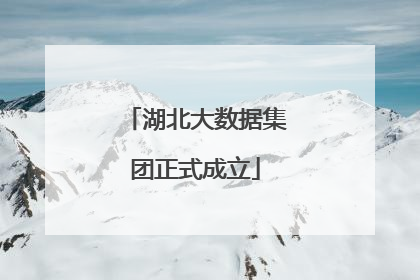 湖北大数据集团正式成立