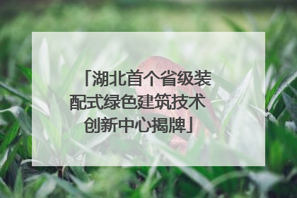湖北首个省级装配式绿色建筑技术创新中心揭牌