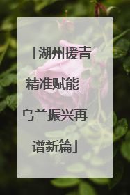 湖州援青精准赋能 乌兰振兴再谱新篇