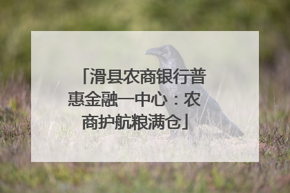滑县农商银行普惠金融一中心：农商护航粮满仓
