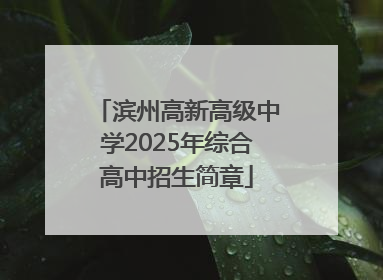 滨州高新高级中学2025年综合高中招生简章
