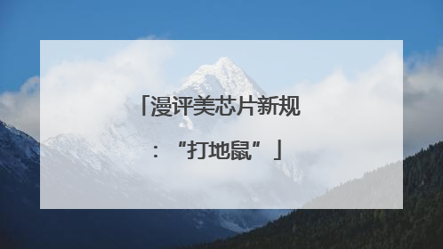 漫评美芯片新规：“打地鼠”