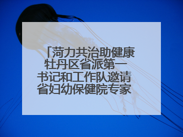 菏力共治助健康 牡丹区省派第一书记和工作队邀请省妇幼保健院专家开展义诊活动