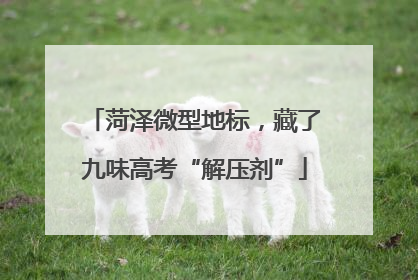 菏泽微型地标，藏了九味高考“解压剂”