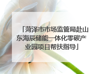 菏泽市市场监管局赴山东海辰储能一体化零碳产业园项目帮扶指导