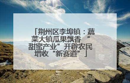 荆州区李埠镇：蔬菜大镇瓜果飘香 “甜蜜产业”开辟农民增收“新赛道”