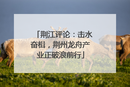 荆江评论：击水奋楫，荆州龙舟产业正破浪前行