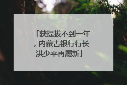 获提拔不到一年，内蒙古银行行长洪少平再履新