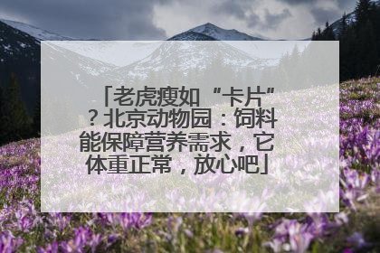 老虎瘦如“卡片”？北京动物园：饲料能保障营养需求，它体重正常，放心吧