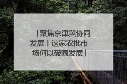 聚焦京津冀协同发展丨这家农批市场何以破圈发展