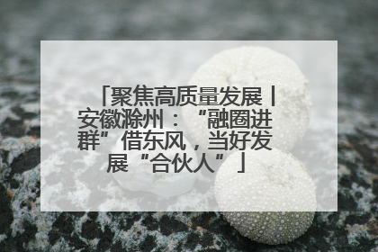 聚焦高质量发展丨安徽滁州：“融圈进群”借东风，当好发展“合伙人”