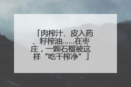 肉榨汁、皮入药、籽榨油……在枣庄，一颗石榴被这样“吃干榨净”