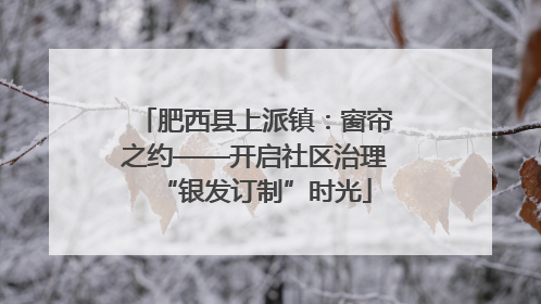 肥西县上派镇：窗帘之约——开启社区治理“银发订制”时光