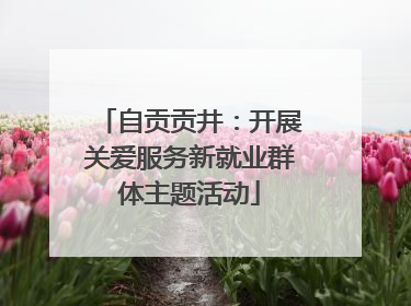 自贡贡井：开展关爱服务新就业群体主题活动