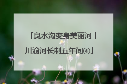 臭水沟变身美丽河丨川渝河长制五年间④