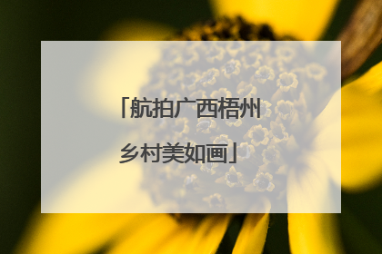 航拍广西梧州乡村美如画