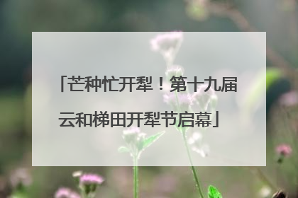 芒种忙开犁！第十九届云和梯田开犁节启幕