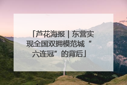 芦花海报｜东营实现全国双拥模范城“六连冠”的背后