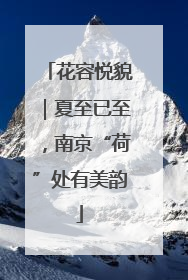 花容悦貌｜夏至已至，南京“荷”处有美韵