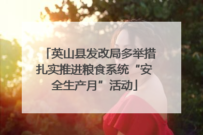 英山县发改局多举措扎实推进粮食系统“安全生产月”活动