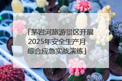 茅岩河旅游景区开展2025年安全生产月综合应急实战演练