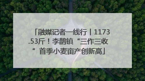 融媒记者一线行丨1173.53斤！李鹊镇“三作三收”首季小麦亩产创新高