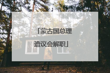 蒙古国总理遭议会解职