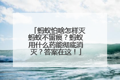 蚂蚁怕啥怎样灭蚂蚁不留痕？蚂蚁用什么药能彻底消灭？答案在这！