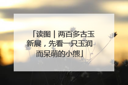 读图｜两百多古玉新展，先看一只玉润而呆萌的小熊