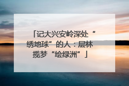 记大兴安岭深处“绣地球”的人：层林揽梦“绘绿洲”