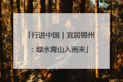 行进中国｜宜居锦州：绿水青山入画来