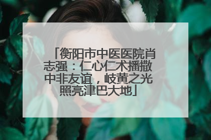 衡阳市中医医院肖志强：仁心仁术播撒中非友谊，岐黄之光照亮津巴大地