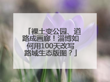 裸土变公园、道路成画廊！淄博如何用100天改写路域生态版图？
