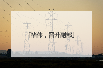 褚伟，晋升副部
