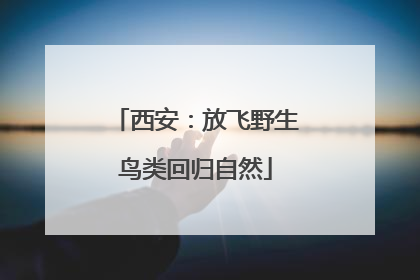 西安：放飞野生鸟类回归自然