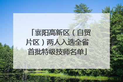 襄阳高新区（自贸片区）两人入选全省首批特级技师名单