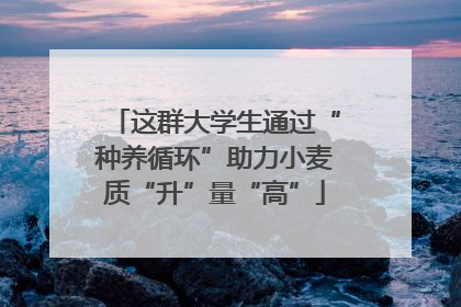 这群大学生通过“种养循环”助力小麦质“升”量“高”