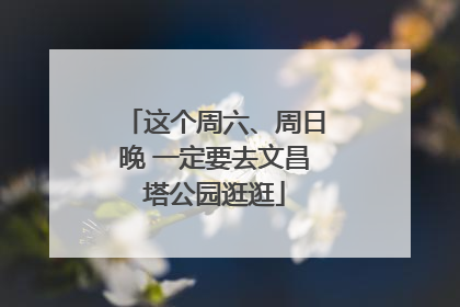 这个周六、周日晚 一定要去文昌塔公园逛逛