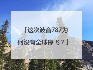 这次波音787为何没有全球停飞？